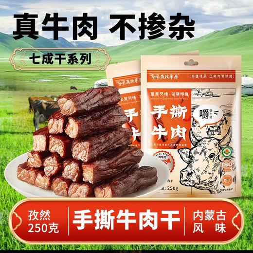 内蒙手撕牛肉干风干牛肉独立包 商品图8