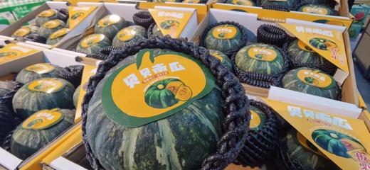 【预售】贝贝南瓜，小巧玲珑，粉糯诱人 低热量、高饱腹感. 香、粉、糯，板栗味儿， 满88包邮 商品图4