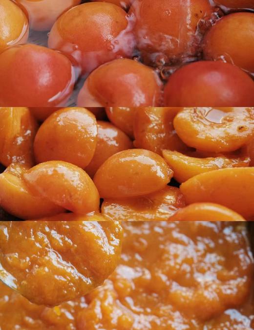 巧克力杏子米布丁·奶油蛋糕 商品图2