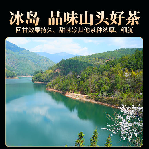 德丰昌普洱生茶散茶300克/盒【冰岛五寨-地界】 商品图6