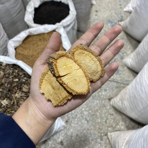 大黄藤   地上部分 商品图4