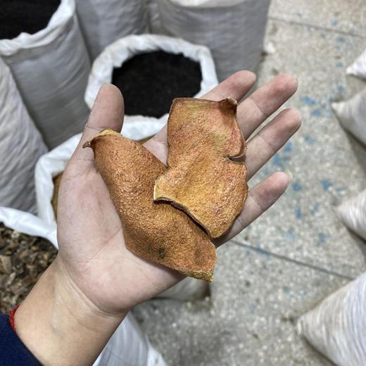 石榴皮 商品图4