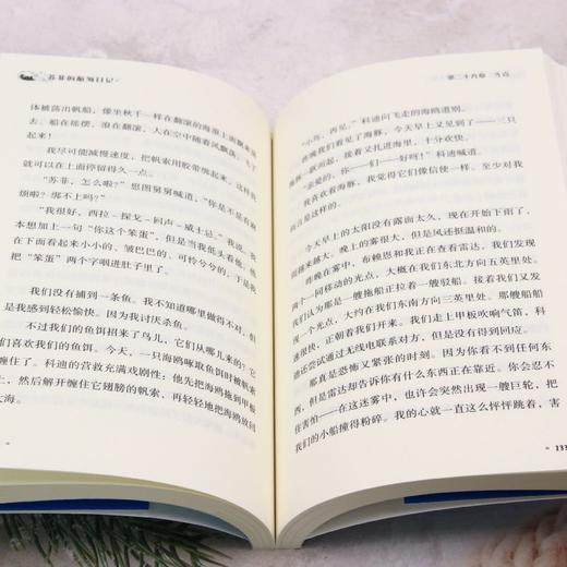 苏菲的航海日记 纽伯瑞儿童文学奖作者作品 青少年成长励志冒险小说 商品图3