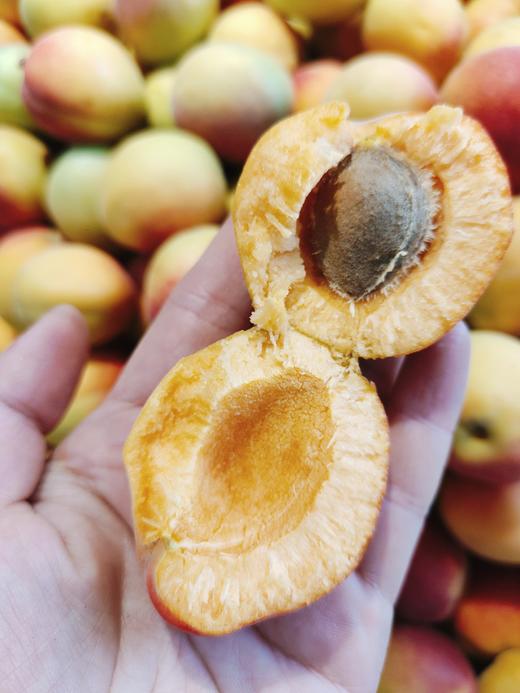 胭脂杏2斤 商品图3