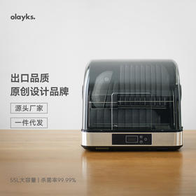 olayks立时原创设计消毒柜家用小型消毒碗柜