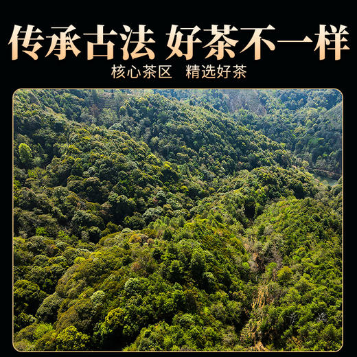 德丰昌普洱生茶散茶300克/盒【古六大茶山-莽枝】 商品图6