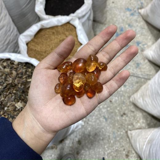 桃胶 纯圆小粒 优质小圆颗粒 家用食材 商品图4