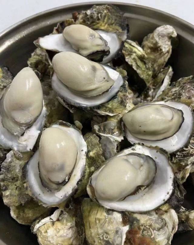 9.10王子测试预约次卡