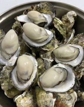 9.10王子测试预约次卡