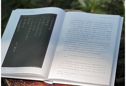 《非尚意：苏轼的书法和他的时代》，精装，16开，王义军著，中国美术学院出版社2024年一版一印，368页，定价98，售价：78元。 商品图7