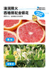 《活动：多送一包》无添加下火金银花柚子汁🧃山楂苹果汁！配料表不添加防腐剂，甜蜜素，着色剂，纯纯果汁，仿佛阳光下新鲜水果在嘴巴里爆汁，入口不涩，酸甜好喝，100ml便携袋装，含有丰富的VC哦 商品缩略图4