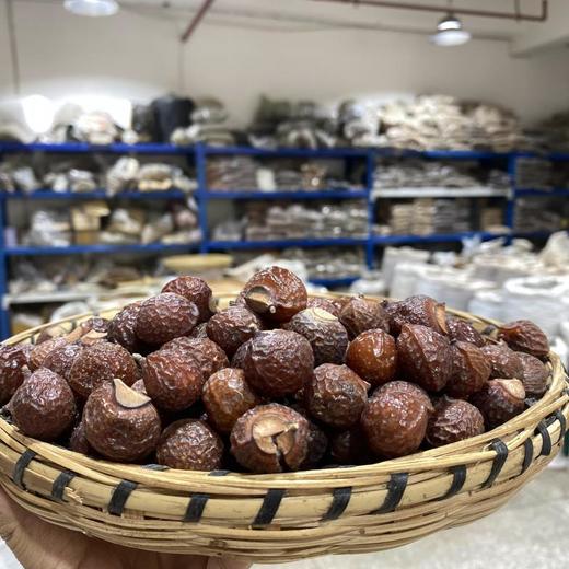 无患子 商品图1