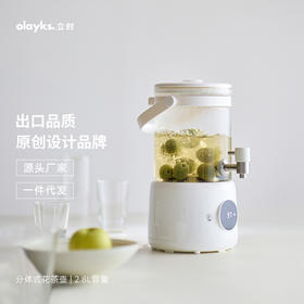 olayks立时养生壶家用办公室保温花茶煮茶器