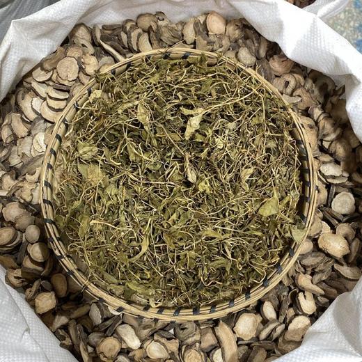 蛇须草 一支箭 商品图2