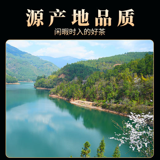 德丰昌普洱生茶散茶300克/盒【冰岛五寨-老寨】 商品图6