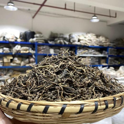 马齿苋 商品图1