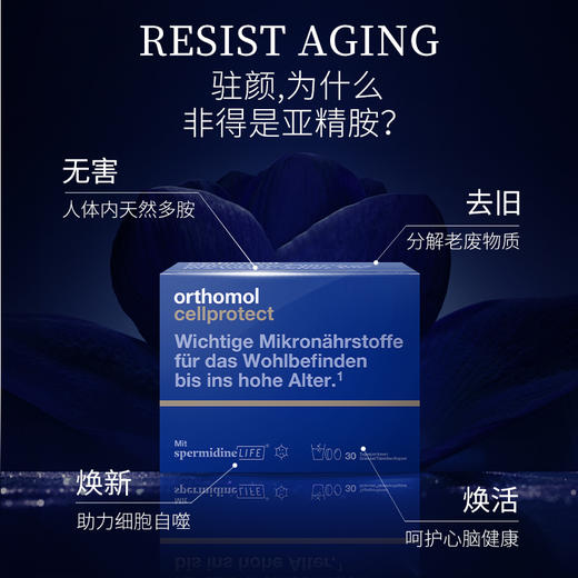 德国奥适宝（ORTHOMOL）亚精胺线粒体补充剂焕龄驻颜细胞营养素 1盒装 商品图4