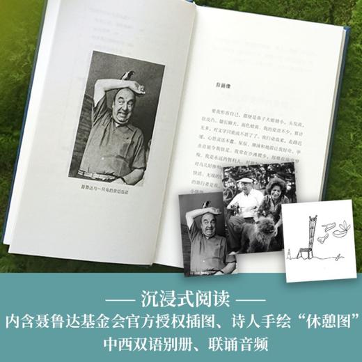 聂鲁达诗文集2册套装《在我热爱的世界上游荡：聂鲁达诗选》《看不见的河流：聂鲁达文选》 商品图2