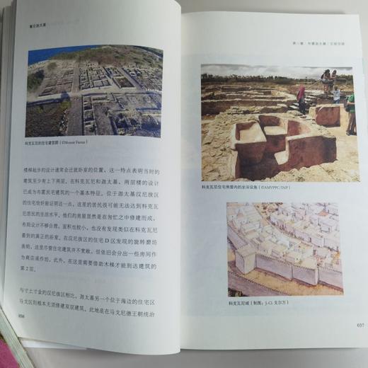 看见迦太基 （突尼斯）萨米尔·奥纳拉 著  郑珊珊 译 北京大学出版社 商品图3