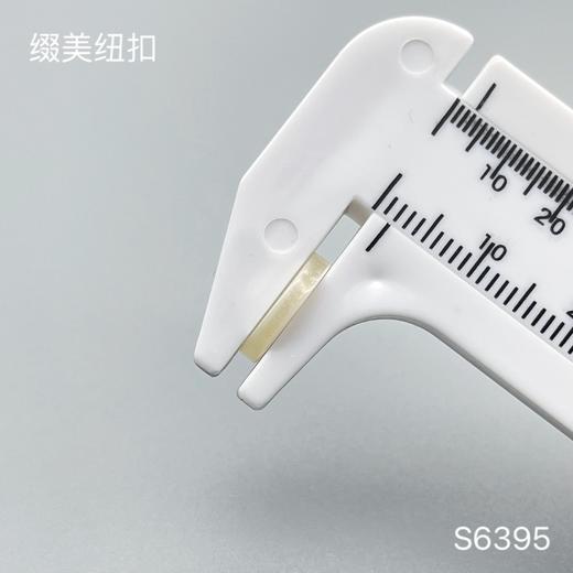 S6395(整包购买) 商品图3