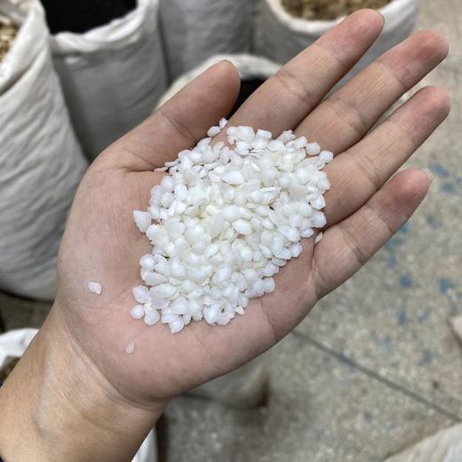 鱼脑石 商品图4