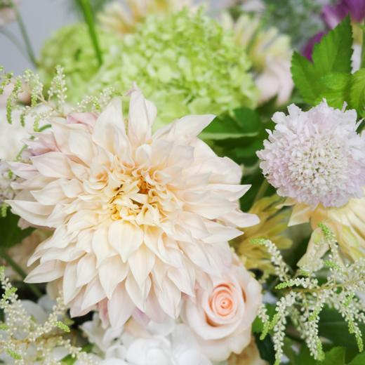 浣花白镜 Petalglow 商品图1