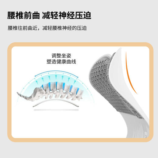 【蜂窝透气 3D散热】思菲其升级款人体工学护腰坐垫  办公室护腰凝胶靠垫 商品图2