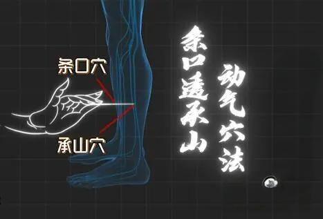 逆血承山之术重组血液02 商品图0