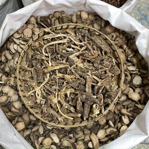 白云花根 商品图1