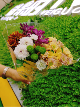 小雏菊花束（颜色随机）