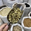 绿萼梅  白梅花 商品缩略图3