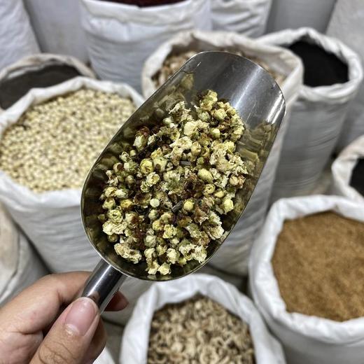 绿萼梅  白梅花 商品图3