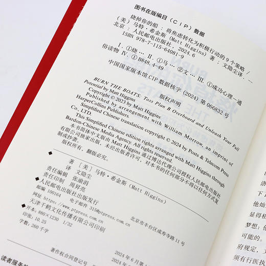 烧掉你的船：将焦虑转化为积极行动的9个策略 成功思维成功学思维方式自我实现 商品图5