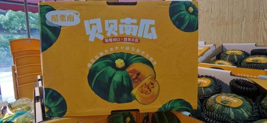 【预售】贝贝南瓜，小巧玲珑，粉糯诱人 低热量、高饱腹感. 香、粉、糯，板栗味儿， 满88包邮 商品图3