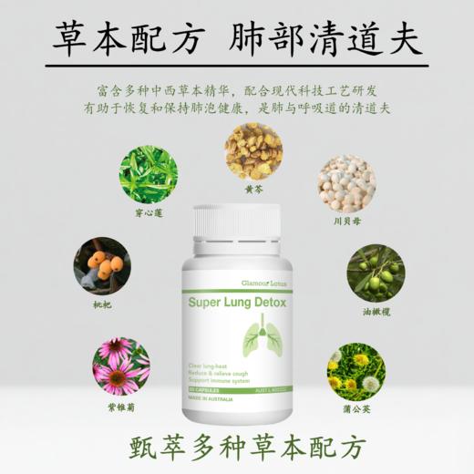 【清肺胶囊】澳大利亚Glamour Lotus歌莱蒙草本配方清肺胶囊60粒 商品图4