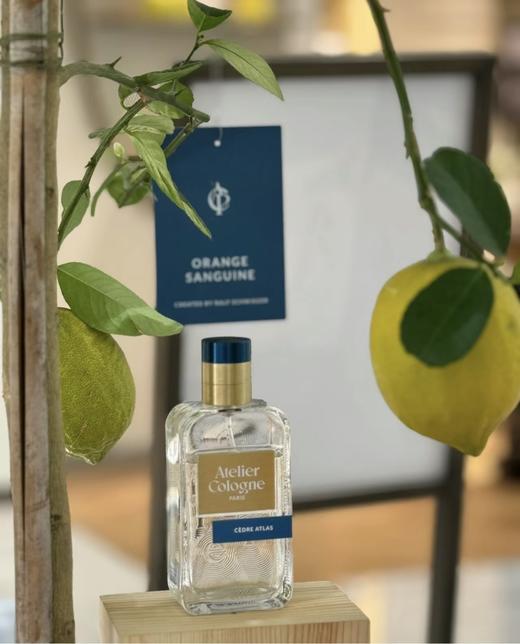 法国欧珑香水30ml 海风青柠套装4ml×8 茉雨心柠古龙香水 桂香月夜 西柚天堂（情柚独钟） 赤霞橘光 加州盛夏 无极乌龙  淡雅茶香柑橘调 商品图12