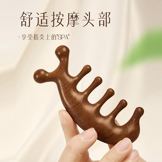 【享受指尖上的“SPA” 缓解一天疲劳】天然养生按摩梳 金丝檀木梳子 按摩 拨筋 厚实耐摔 方便抓握 放松从梳头开始 商品图4