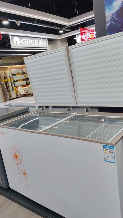 美菱(MELING)（201507）BCD-318DT 318升 卧式 冷柜 强劲制冷 白 商品图2