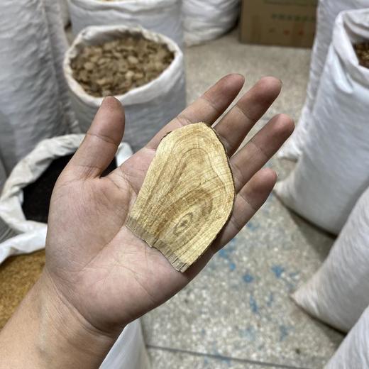 毛冬青 商品图4