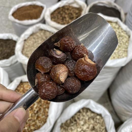 无患子 商品图3