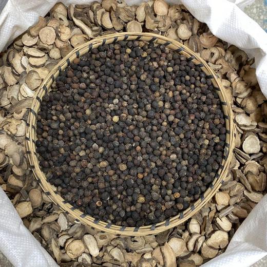 香樟子 樟木子 商品图2