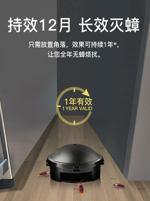 【日本进口安速蟑螂药】全窝端 家用无毒；一盒蟑螂屋 彻底绝杀扫尽 商品图2
