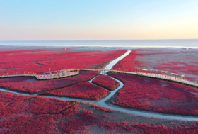 通过一个人的发质看出其性格