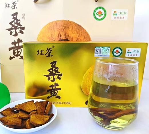 【新品首发】北茶有机金边桑黄    基地直邮 商品图0