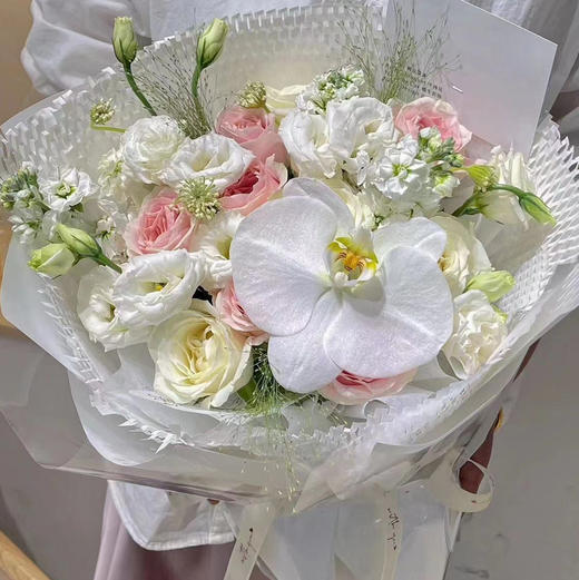 ［梦之蝶］ 商品图0