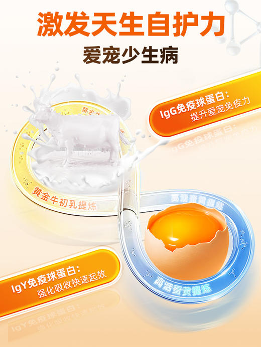 【新品福利】都乐时乳铁蛋白营养补充剂  犬猫通用  30粒装  增强免疫力 商品图2