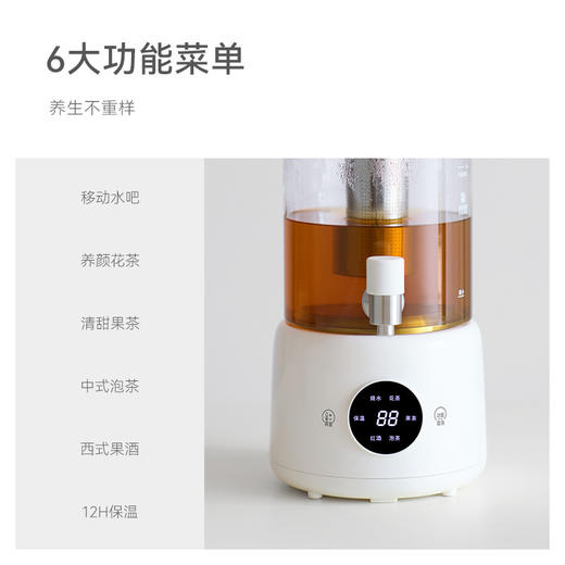 olayks立时养生壶家用办公室保温花茶煮茶器 商品图1