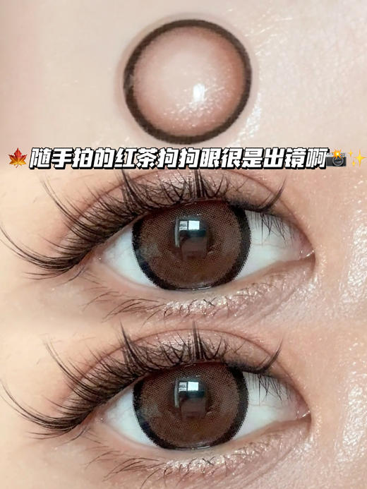 cherry 红茶樱桃狗狗眼·半年抛型 商品图0