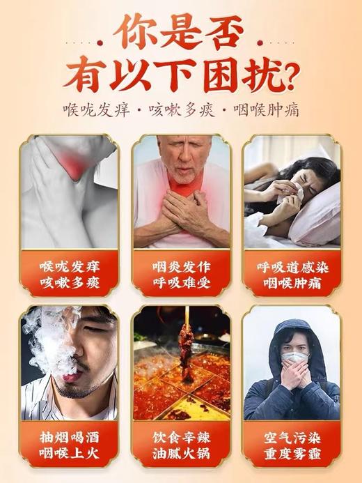 绿度山庄金桔家庭装 商品图3