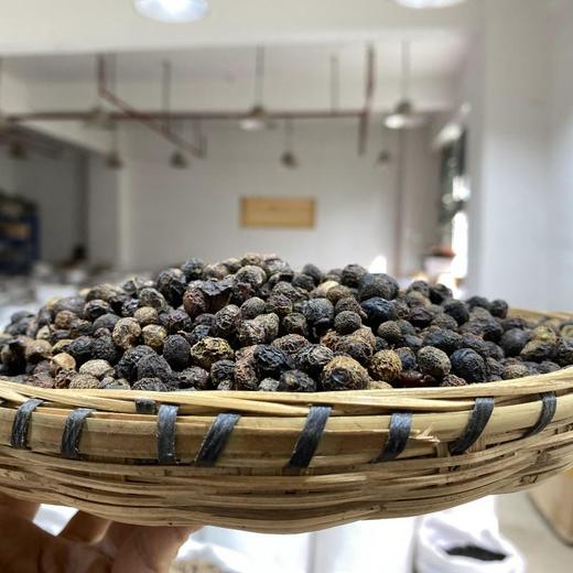 香樟子 樟木子 商品图1